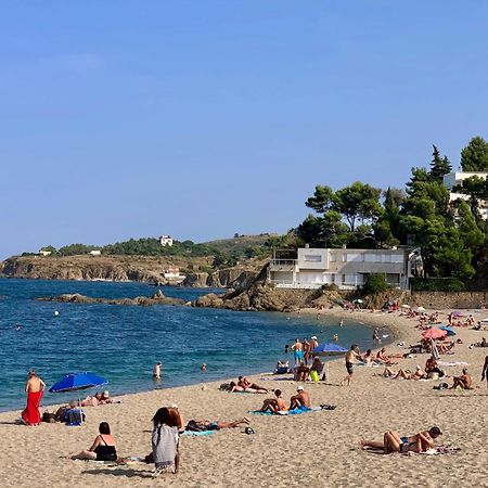 Maison De Flo Centre Historique Argeles Sur Mer Εξωτερικό φωτογραφία